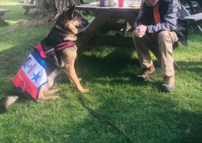 patriotic dog and veteran bonding